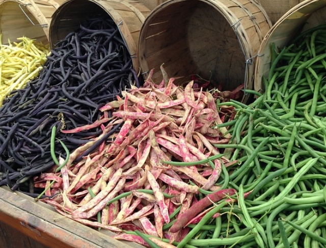 FEIJÃO/CEPEA: Liquidez é baixa; preços apresentam movimentos distintos